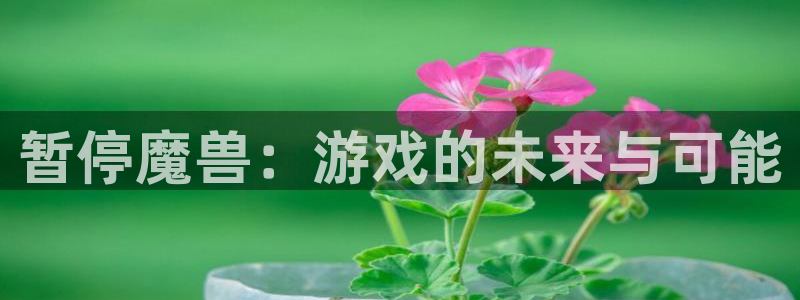 三牛娱乐网站：暂停魔兽：游戏的未来与可能