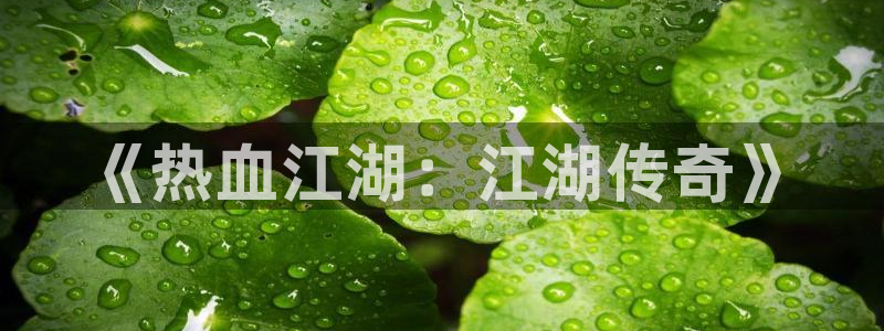 三牛娱乐测速系统官网：《热血江湖：江湖传奇》