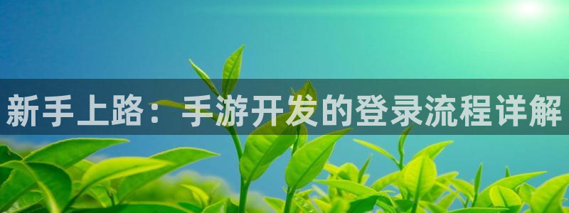 三牛娱乐测速系统官网：新手上路：手游开发的登录流程详解