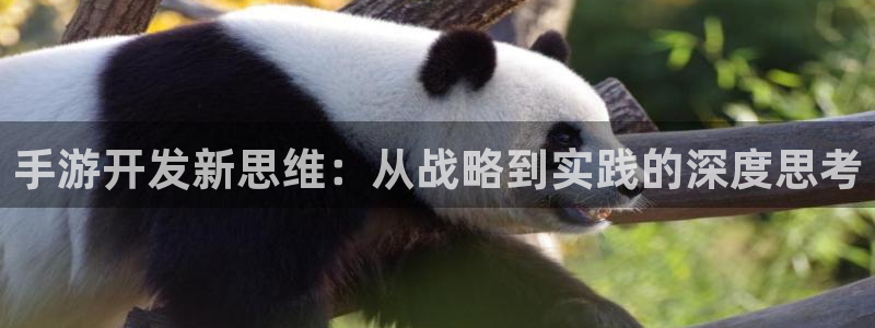三牛娱乐管网：手游开发新思维：从战略到实践的深度思考