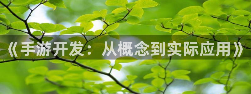 三牛娱乐负责人是谁：《手游开发：从概念到实际应用》