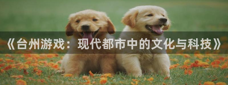 三牛娱乐负责人：《台州游戏：现代都市中的文化与科技》