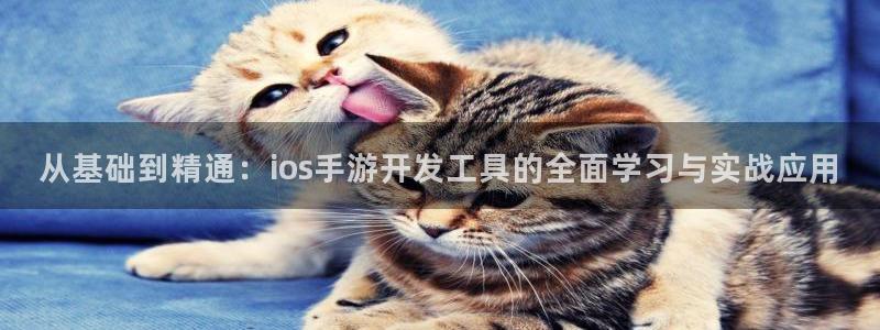 三牛娱乐网站：从基础到精通：ios手游开发工具的全面学习与实
