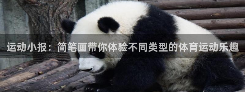 必一运动：运动小报：简笔画带你体验不同类型的体育运动乐趣