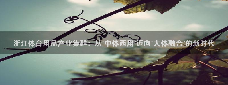 bsports必一运动