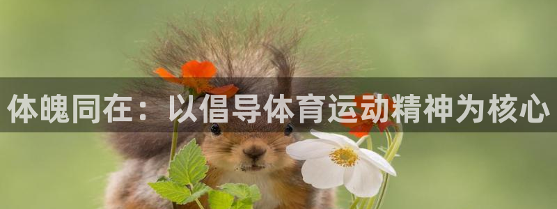bsport必一运动