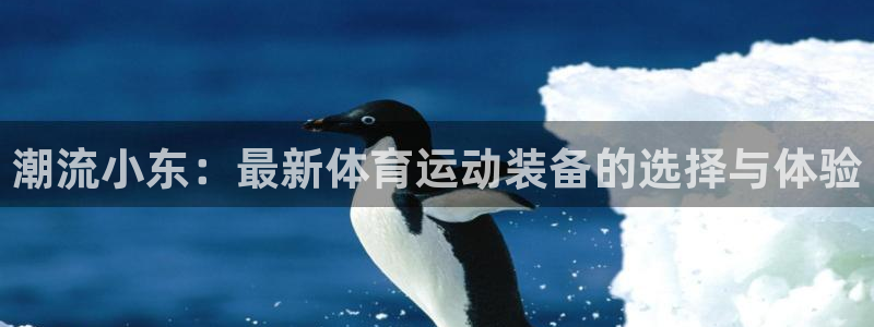 bsports必一运动