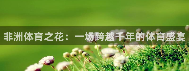 必一运动bsport体育