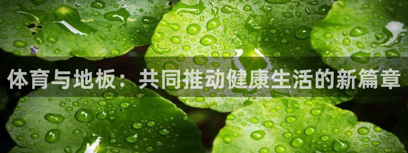 必一运动体育：体育与地板：共同推动健康生活的新篇章