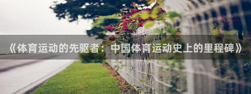 必一运动体育官网