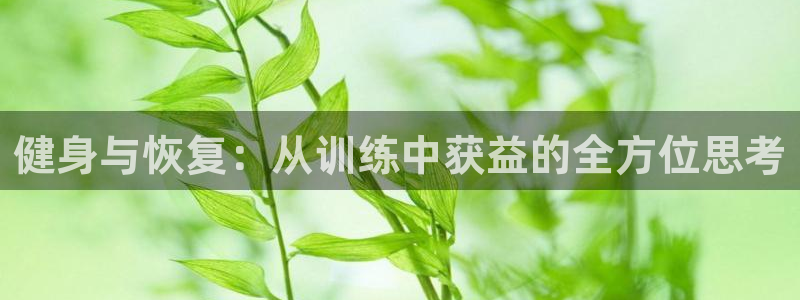 bsports必一运动：健身与恢复：从训练中获益的全方位思考