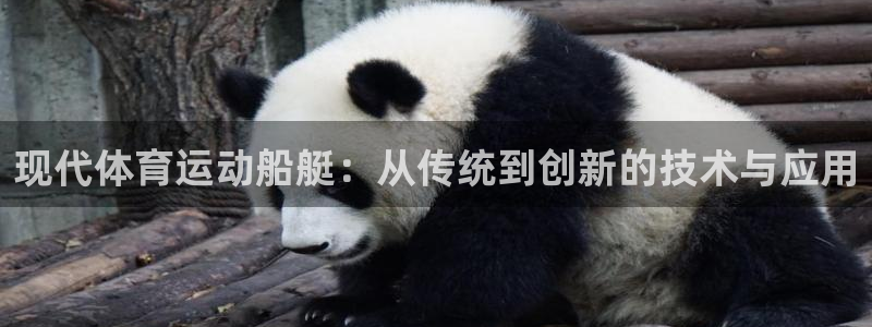 必一运动：现代体育运动船艇：从传统到创新的技术与应用