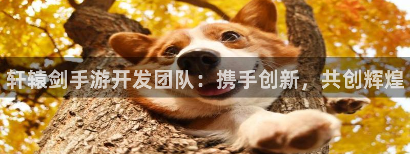 三牛娱乐管网客服电话：轩辕剑手游开发团队：携手创新，共创辉煌