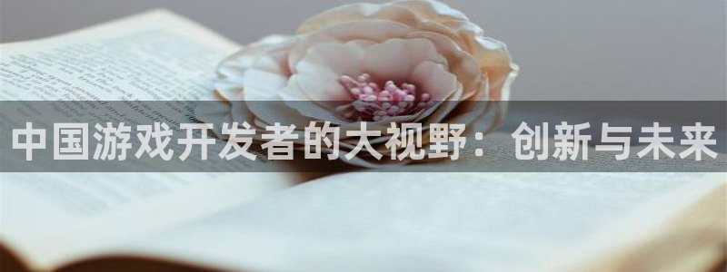 三牛娱乐登录：中国游戏开发者的大视野：创新与未来