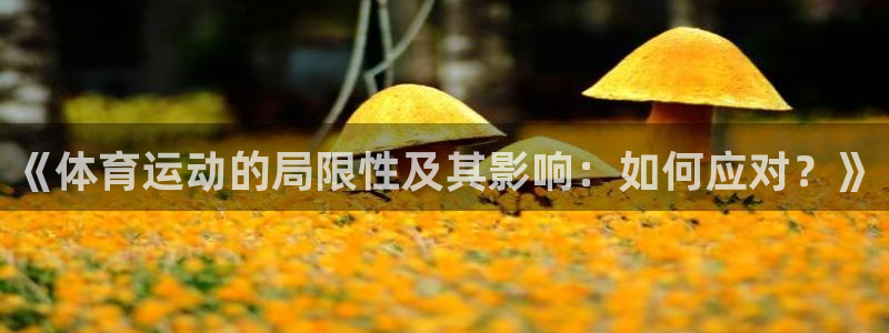 必一运动bsport体育：《体育运动的局限性及其影响：如何应对？》