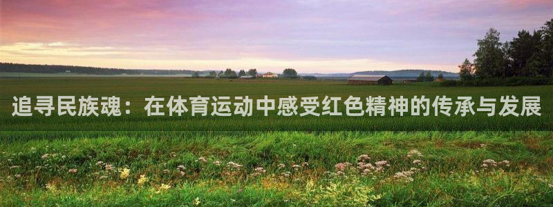 必一运动bsport体育：追寻民族魂：在体育运动中感受红色精神的传承与发展