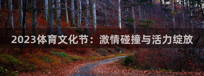 bsport必一运动：2023体育文化节：激情碰撞与活力绽放