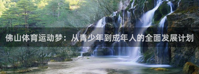 bsport必一运动：佛山体育运动梦：从青少年到成年人的全面发展计划
